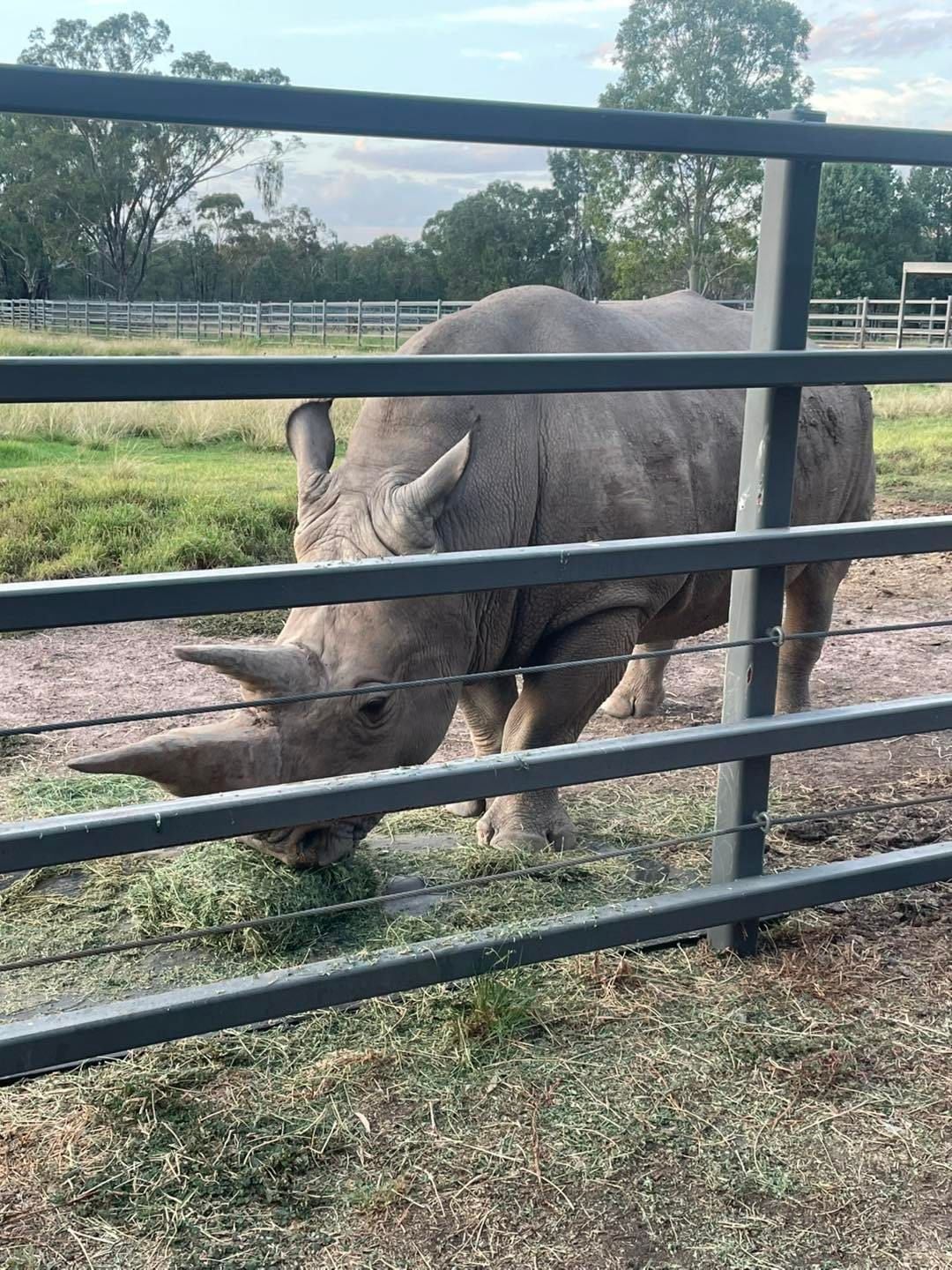 Dubbo Zoo 2025 Image -67de04741fde5